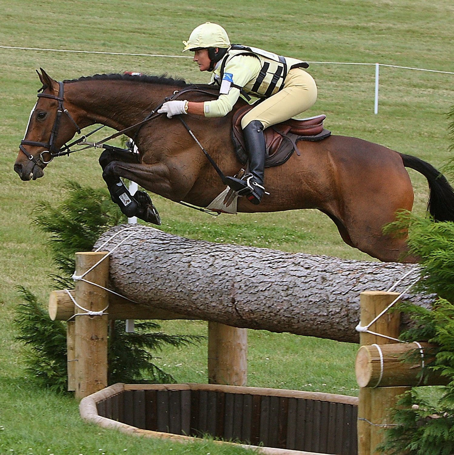 Webinar part of the IH Professional Equine Webinar Series with with event rider lucinda green seen riding cross country