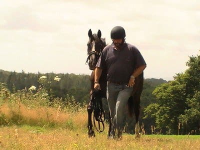 Profile image of Intelligent Horsemanship Recommend Horse Trainer Jim Goddard, based in Heathfield, East Sussex. 
